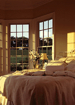 [Andersen Double Hung Windows]