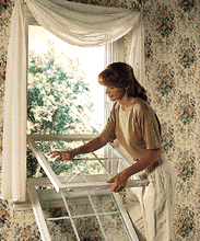 [CertainTeed Double-Hung Tilt Window
      with colonial grids]
